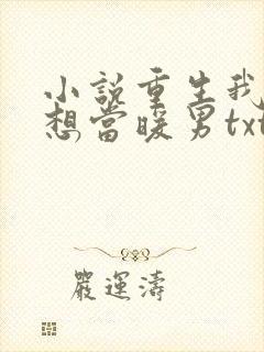 小说重生我真没想当暖男txt