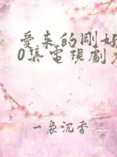 爱来的刚好第60集电视剧免费观看