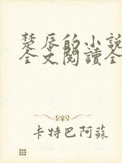 楚辰的小说免费全文阅读全文