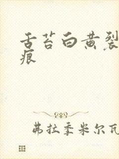 舌苔白黄裂纹齿痕