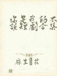 你是我的不可言说短剧合集