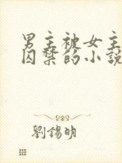 男主被女主改造囚禁的小说