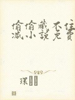 偷偷藏不住无删减小说免费阅读完整版