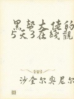 黑帮大佬的365天3在线观看