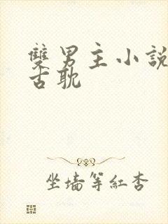 双男主小说推荐古耽