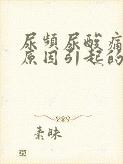 尿频尿酸痛什么原因引起的