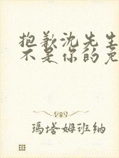 抱歉沈先生孩子不是你的免费完结短剧