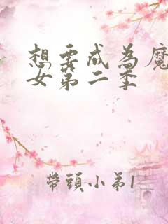 想要成为魔法少女第二季