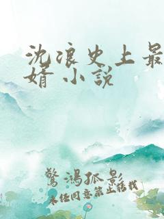 沈浪史上最强赘婿 小说