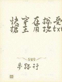 快穿在总受文里抢主角攻txt