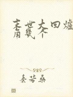 末世大回炉女主角几个