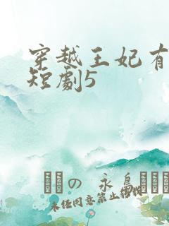 穿越王妃有点野短剧5