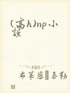 (高h)np小说
