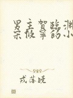 男主贺临渊女主宋攸宁的小说