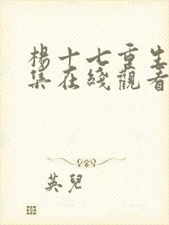 杨十七重生记全集在线观看