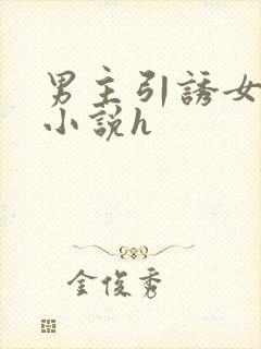 男主引诱女主的小说h