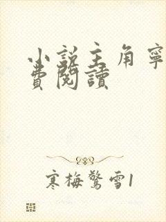 小说主角宁宸免费阅读