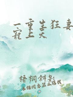 一重生狂妻大佬宠上天