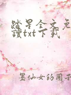 踏星全文免费阅读txt下载