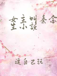 女主叫秦念的重生小说