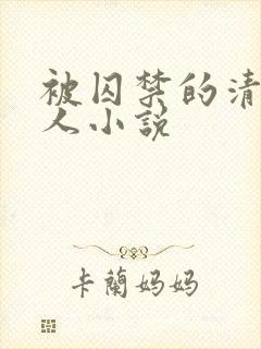 被囚禁的清冷美人小说