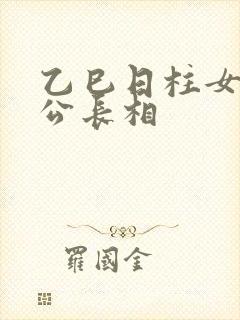 乙巳日柱女命老公长相