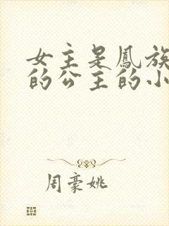 女主是凤族唯一的公主的小说