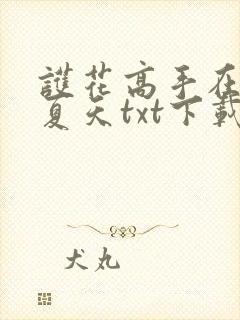 护花高手在都市夏天txt下载