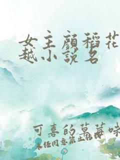 女主颜稻花的穿越小说名