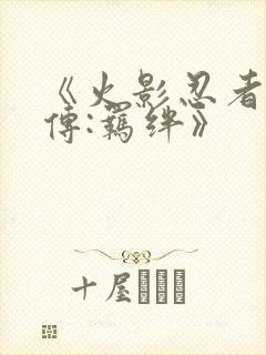 《火影忍者疾风传:羁绊》