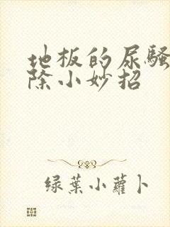 地板的尿骚味去除小妙招