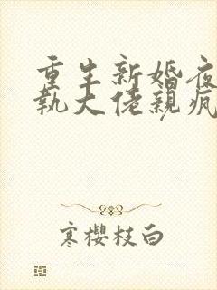 重生新婚夜被偏执大佬亲疯了txt