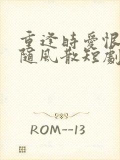 重逢时爱恨早已随风散短剧免费观看