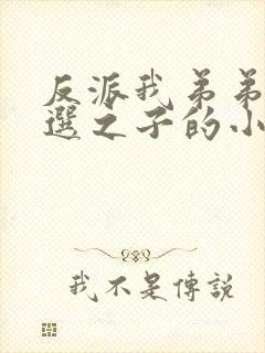 反派我弟弟是天选之子的小说txt下载