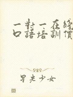 一对一在线外教口语培训价格