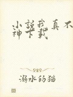 小说我真不是魔神下载