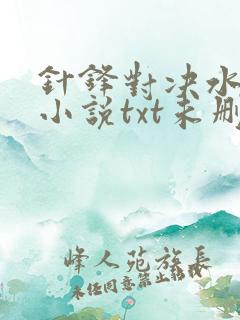 针锋对决水千丞小说txt未删减