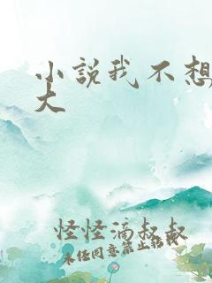 小说我不想当老大