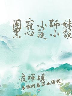 团宠小师妹是朵黑心莲小说阅读