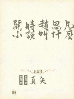 关时赵思凡原著小说叫什么名字