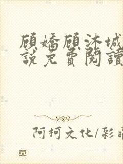 顾娇顾沐城的小说免费阅读