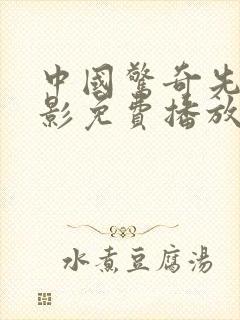 中国惊奇先生电影免费播放