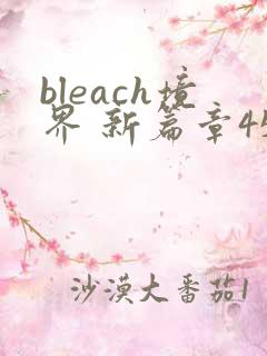 bleach境界 新篇章45集全