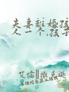 夫妻离婚孩子一人一个,孩子的继承权