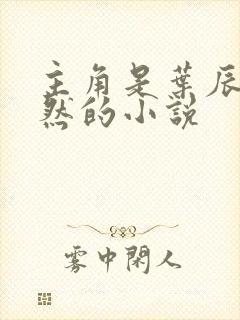 主角是叶辰萧初然的小说