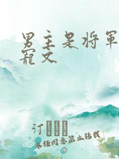 男主是将军的甜宠文