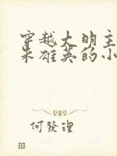 穿越大明主角叫朱雄英的小说