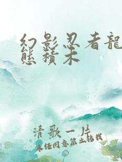 幻影忍者龙之形态积木