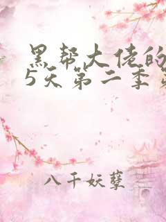 黑帮大佬的365天第二季第二集