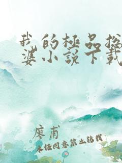 我的极品总裁老婆小说下载